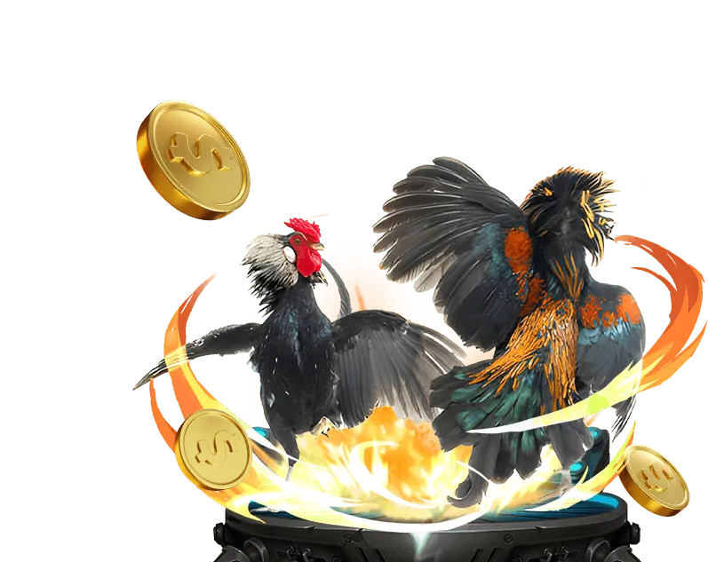 Kinh nghiệm chơi đá gà tại KV99 Casino